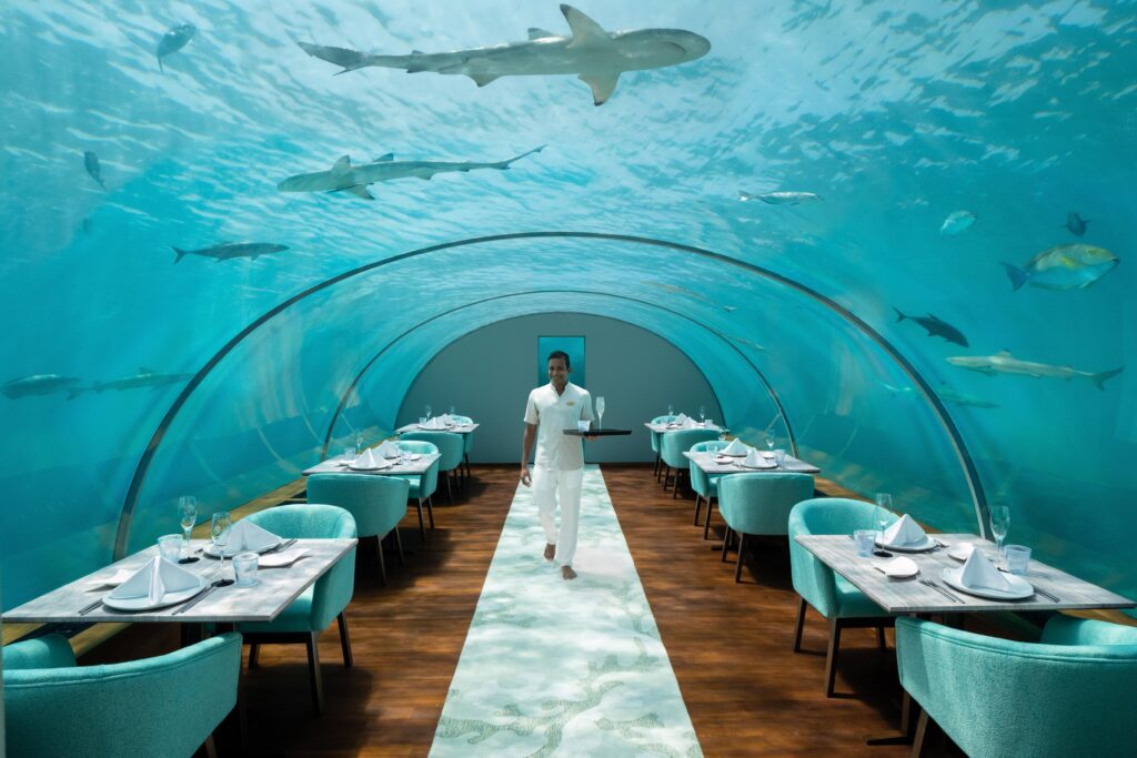 Underwater living in Maldives