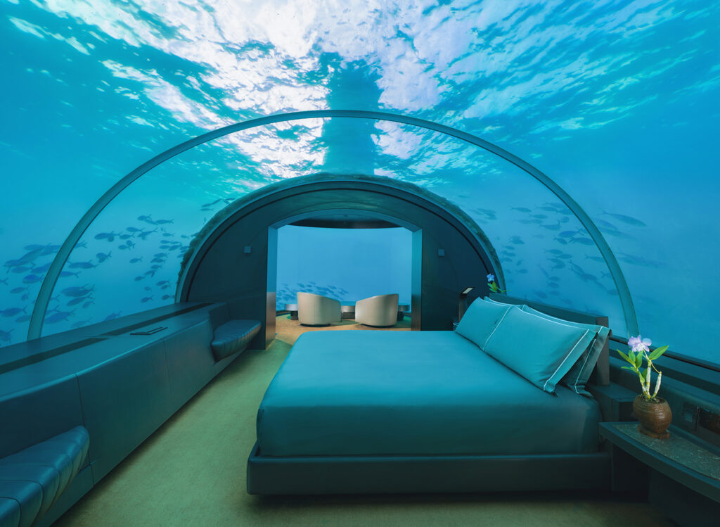 Underwater living in Maldives
